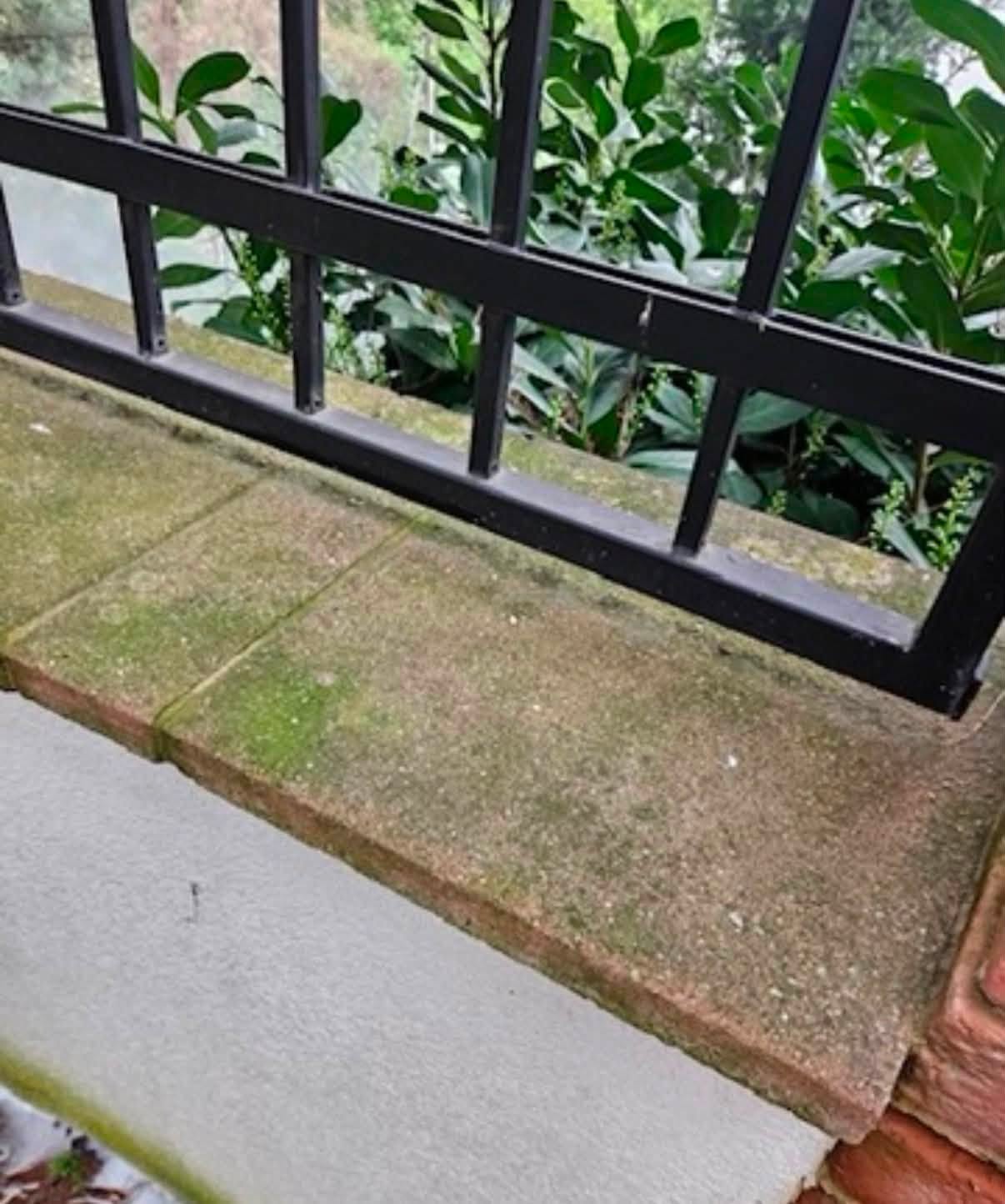 Detail plotu pred čistením